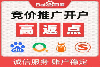 精准投放，高效转化——SEM竞价优化案例集